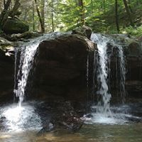 John Manning Photo 41