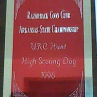 Shannon Tabor Photo 7