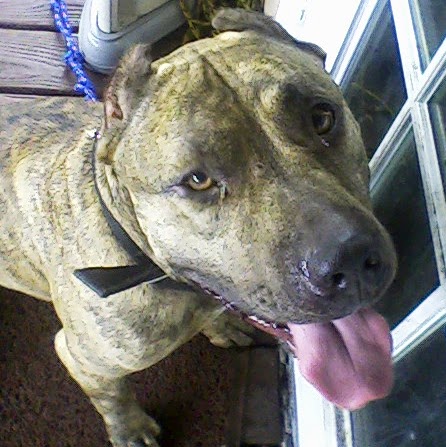 Sara Doherty Photo 8