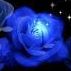 Devanshi Patel Photo 13