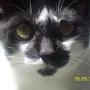 Joyce Wagner Photo 28