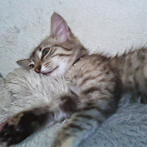 Marta Valentin Photo 8