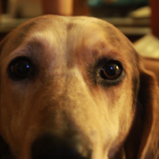 Scott Turner Photo 53 Scott Turner Photo 53