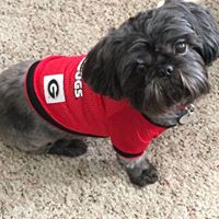 Debbie Sewell Photo 17