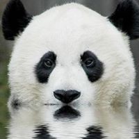 Sandy Chase Photo 10