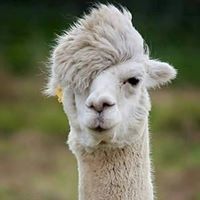 Bridget Phillips Photo 26