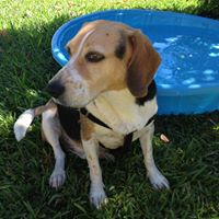 Stacy Vosberg Photo 4