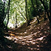 Julius Dykes Photo 4