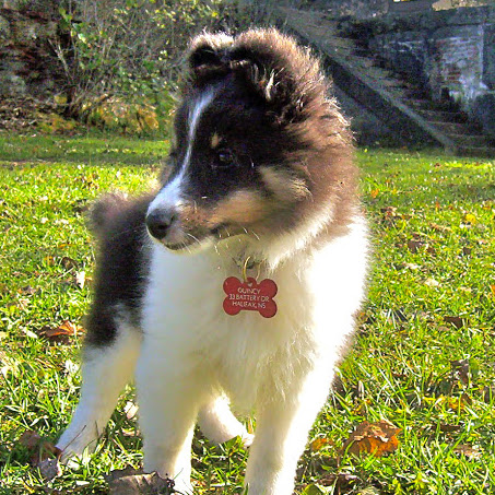 Lindsay Fraser Photo 7