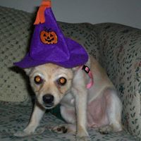 Terri Rogers Photo 1