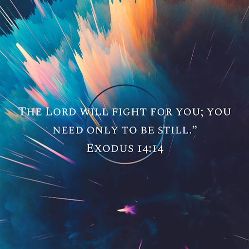 Darrel Jackson Photo 24