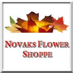 Larry Novak Photo 17 Larry Novak Photo 17