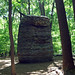 Steven Siegel Photo 32