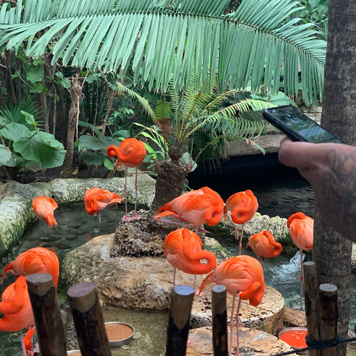 Rebecca Garcia Photo 32