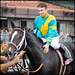 Joe Mullins Photo 27