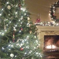 Debra Zimmer Photo 11