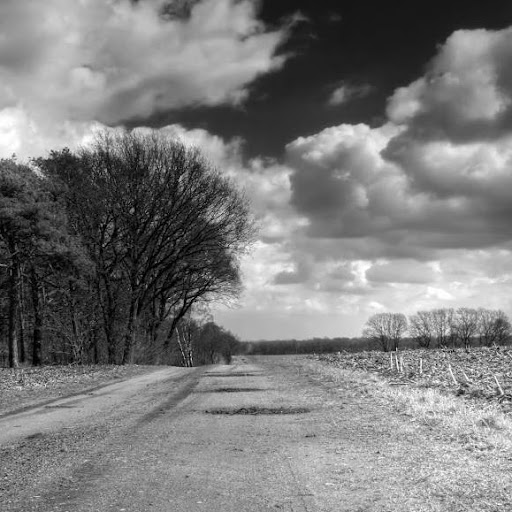 Ronald Simpson Photo 6