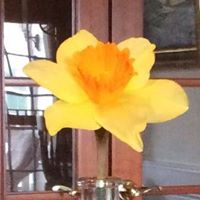 Colleen Ashlin Photo 4