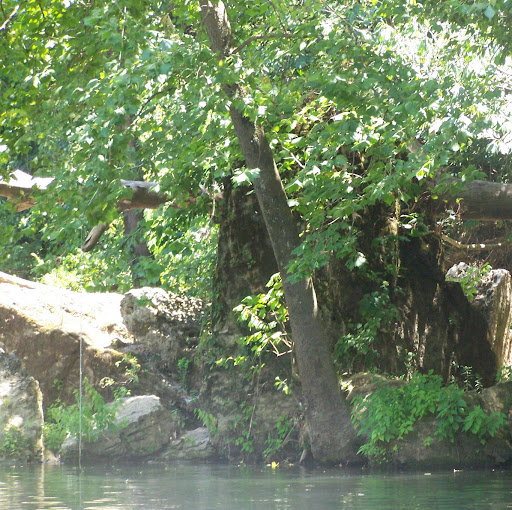 Heather Wilson Photo 47 Heather Wilson Photo 47