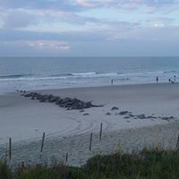Sue Dicicco Photo 11