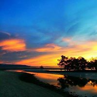 Debra Mcdonald Photo 9