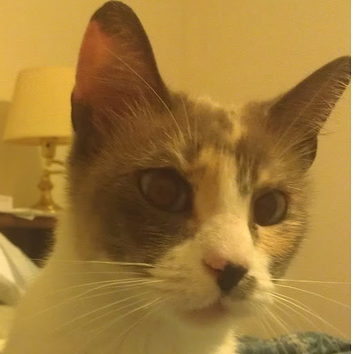 Jacquelyn Henderson Photo 13