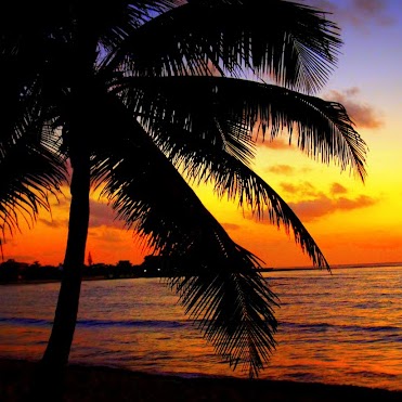 Randy Barker Photo 23