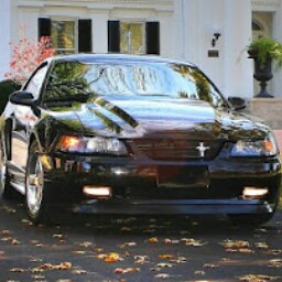 Michael Harp Photo 14