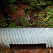 Scott Gulley Photo 16