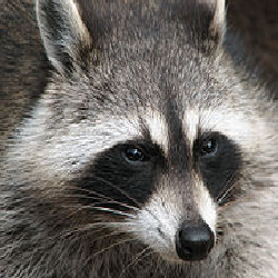 Gregg Erickson Photo 26