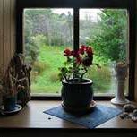 Cathy Andersen Photo 6