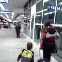 Steven Holly Photo 11