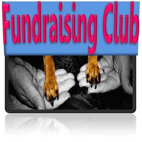 Samantha Dooley Photo 5