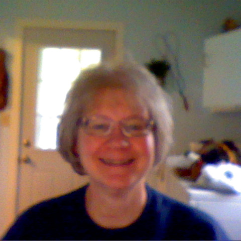Sue Gilbert Photo 33