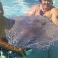 Teresa Tidwell Photo 8