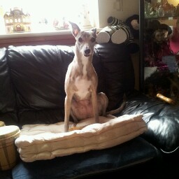 Sandra Kester Photo 8