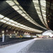 Francis Mead Photo 11