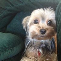 Jackie Scott Photo 10 Jackie Scott Photo 10