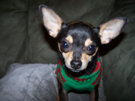 Lisa Milam Photo 12