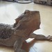 Ray Bell Photo 24