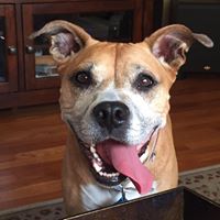 Casey Perkins Photo 44