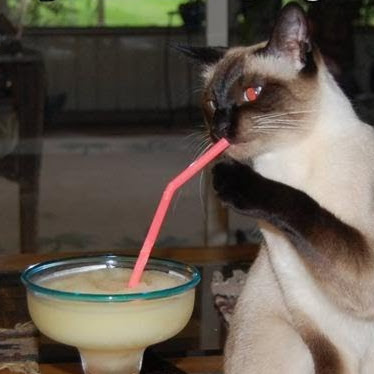 Sharon Jackson Photo 40