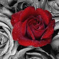 Bernadette Matthews Photo 6