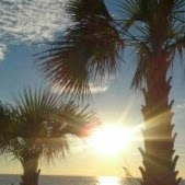 Dawn Valentine Photo 37