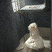 Jennifer Pugh Photo 37