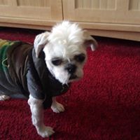 Tonya Fleming Photo 18