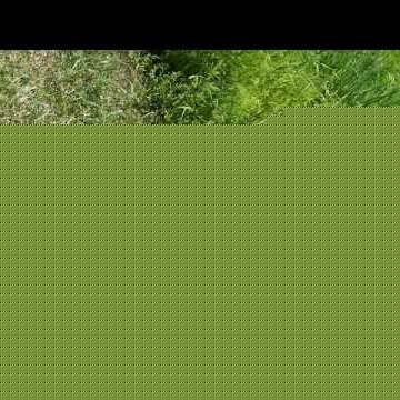 Paul Sheets Photo 11