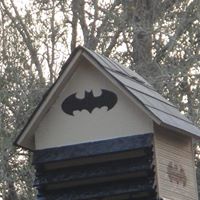 Sharon Snider Photo 16