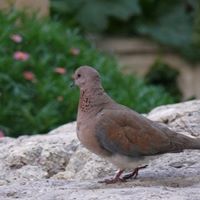 John Bacon Photo 33 John Bacon Photo 33