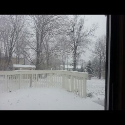 Ann Cavanaugh Photo 38